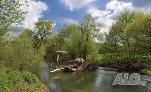 image_14