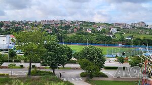 image_15