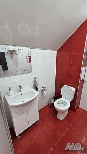 image_11