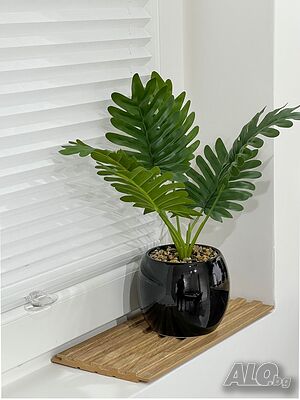 image_6