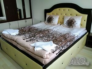 image_22