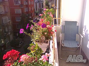 image_9