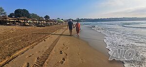 image_15
