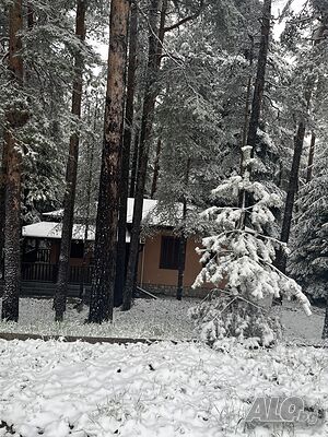 image_8