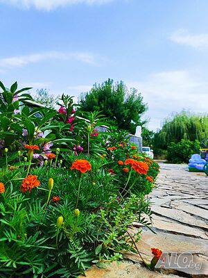 image_36