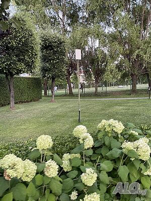 image_33