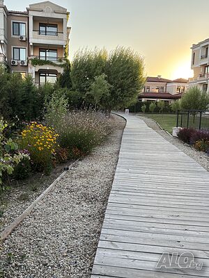 image_53