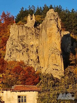 image_25