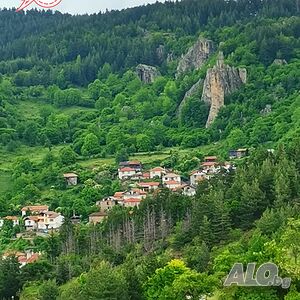 image_29