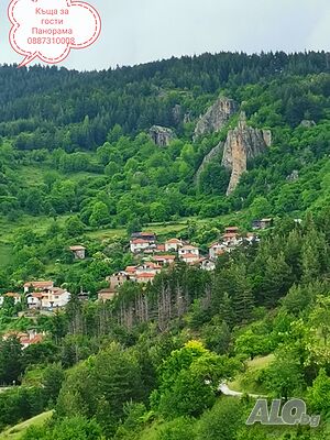 image_31