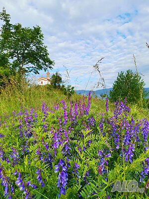 image_32