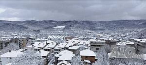 image_25