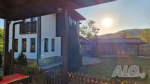 image_3