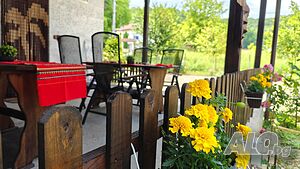 image_41
