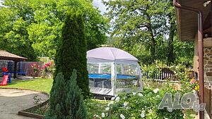 image_40