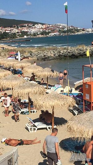 image_15