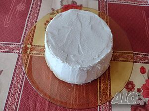 image_19