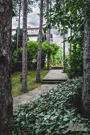image_27