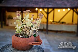 image_19