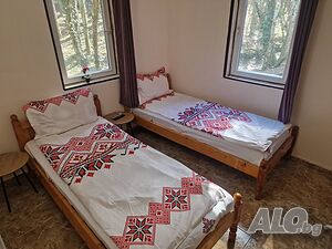 image_11