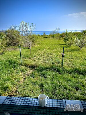 image_33