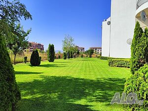 image_12