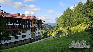 image_6