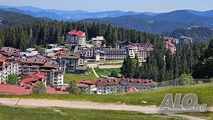 image_11
