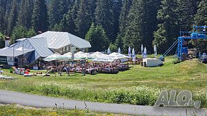 image_10