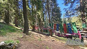 image_11