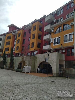 image_7