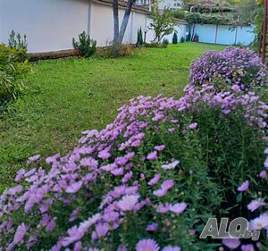 image_22