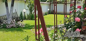 image_24