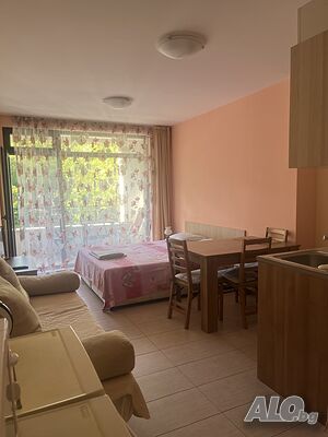 image_11
