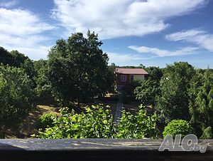 image_7