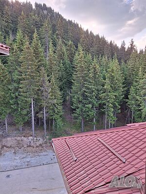 image_19