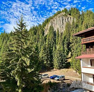 image_22