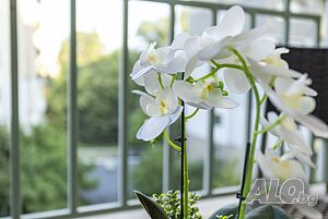 image_14