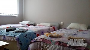 Стая под наем Самостоятелни стаи 1-3 души. Всяка със собствен вход и санитарен възел. Без хазяи