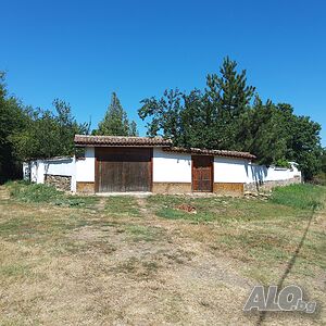 image_8
