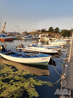 image_10