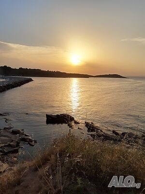 image_31