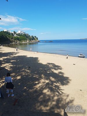 image_38