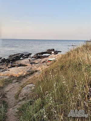 image_49