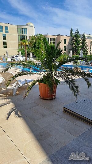 нощувки Нощувки от 10 дни и повече!