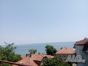 Стая под наем Свободна тройна стая
