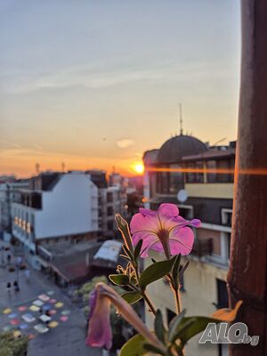 image_14