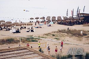 image_11