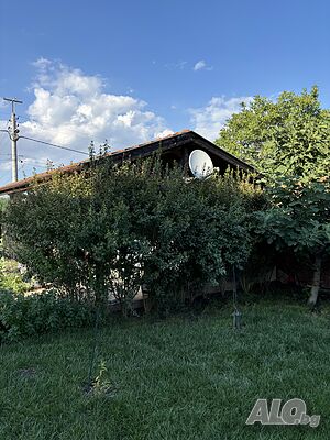 image_36