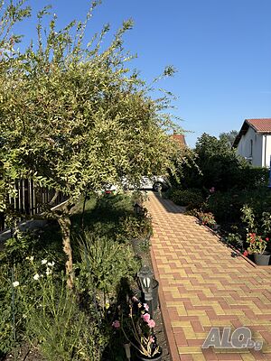 image_34